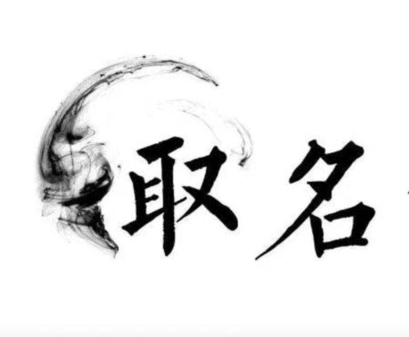  沙湾宝宝取名 大师一对一人工起名