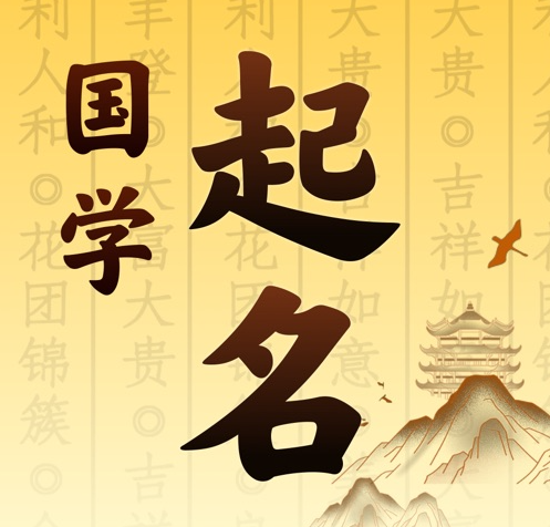 沙湾国学起名 人工起名一对一